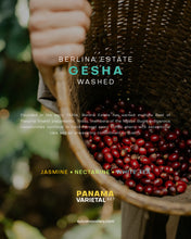 تحميل الصورة في عارض المعرض ،PANAMA VARIETAL SET