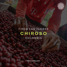 Load image into Gallery viewer, CHIROSO - FINCA LAS FLORES - COLOMBIA