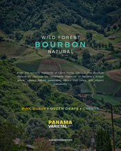 تحميل الصورة في عارض المعرض ،PANAMA VARIETAL SET