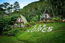 Load image into Gallery viewer, CHIROSO - FINCA LAS FLORES - COLOMBIA