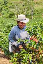 Load image into Gallery viewer, TRES DRAGONES - CAFE GRANJA LA ESPERANZA - COLOMBIA