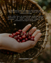 تحميل الصورة في عارض المعرض ،كولومبيا - إل بوينتي - طبيعية