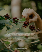 Load image into Gallery viewer, COLOMBIA - BUESACO - NATURAL