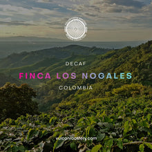 تحميل الصورة في عارض المعرض ،DECAF - FINCA LOS NOGALES - COLOMBIA