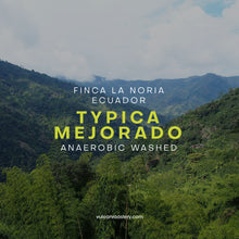 Load image into Gallery viewer, ECUADOR - FINCA LA NORIA - TYPICA MEJORADO ANAEROBIC WASHED