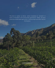 Load image into Gallery viewer, ECUADOR - FINCA LA NORIA - SL 28