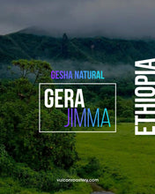 تحميل الصورة في عارض المعرض ،ETHIOPIA - GERA JIMMA - GESHA NATURAL