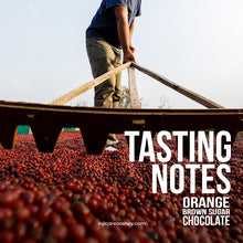 Load image into Gallery viewer, COLOMBIA DECAF - TUMBAGA SUGARCANE