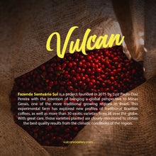 Load image into Gallery viewer, SANTUARIO SUL - GESHA - BRAZIL