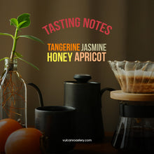 Load image into Gallery viewer, FINCA INMACULADA - GESHA - COLOMBIA