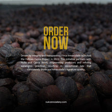 Load image into Gallery viewer, FINCA INMACULADA - GESHA - COLOMBIA