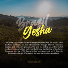 Load image into Gallery viewer, SANTUARIO SUL - GESHA - BRAZIL