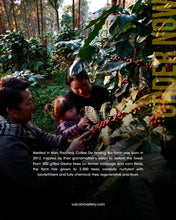 Load image into Gallery viewer, THAILAND - DE HMONG BIOFARM - CUP OF EXCELLENCE #5