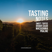 Load image into Gallery viewer, FAZENDA IP - BRAZIL