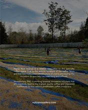 Load image into Gallery viewer, PAPUA NEW GUINEA (PNG) - TAIRORA - WASHED