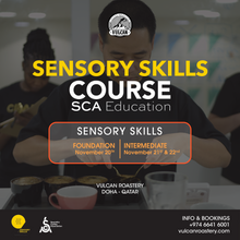 تحميل الصورة في عارض المعرض ،SCA SENSORY SKILLS - FOUNDATION & INTERMEDIATE