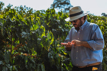 Load image into Gallery viewer, SANTUARIO SUL - GESHA - BRAZIL