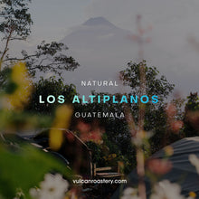 تحميل الصورة في عارض المعرض ،GUATEMALA - LOS ALTIPLANOS - NATURAL