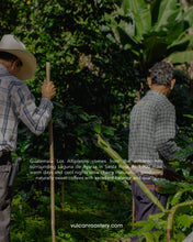 تحميل الصورة في عارض المعرض ،GUATEMALA - LOS ALTIPLANOS - NATURAL