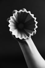 تحميل الصورة في عارض المعرض ،SIBARIST - FAST ORIGAMI S (إصدار خاص)