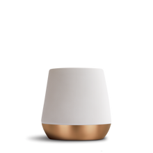 Load image into Gallery viewer, FELLOW JOEY - DOUBLE WALL CERAMIC