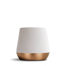 Load image into Gallery viewer, FELLOW JOEY - DOUBLE WALL CERAMIC