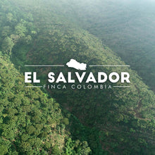 Load image into Gallery viewer, FINCA COLOMBIA GESHA - EL SALVADOR