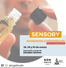 Load image into Gallery viewer, SCA SENSORY SKILLS - FOUNDATION | MARCH 28, 2022