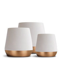 Load image into Gallery viewer, FELLOW JOEY - DOUBLE WALL CERAMIC