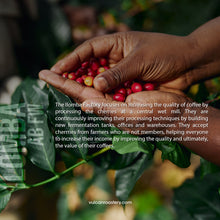 Load image into Gallery viewer, TANZANIA - ILOMBA