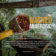 Load image into Gallery viewer, NICARAGUA - FINCA AURORA - ANAEROBIC