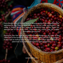 Load image into Gallery viewer, NICARAGUA - FINCA AURORA - ANAEROBIC