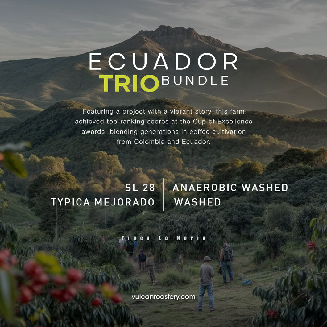 ECUADOR TRIO BUNDLE