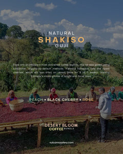 DESERT BLOOM - ETHIOPIA COFFEE  BUNDLE
