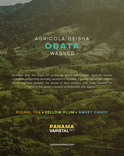 تحميل الصورة في عارض المعرض ،PANAMA VARIETAL SET
