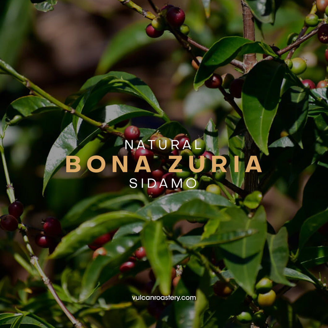ETHIOPIA - BONA ZURIA -  NATURAL
