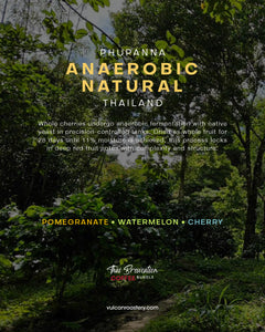 THAILAND - PHUPANNA - ANAEROBIC NATURAL