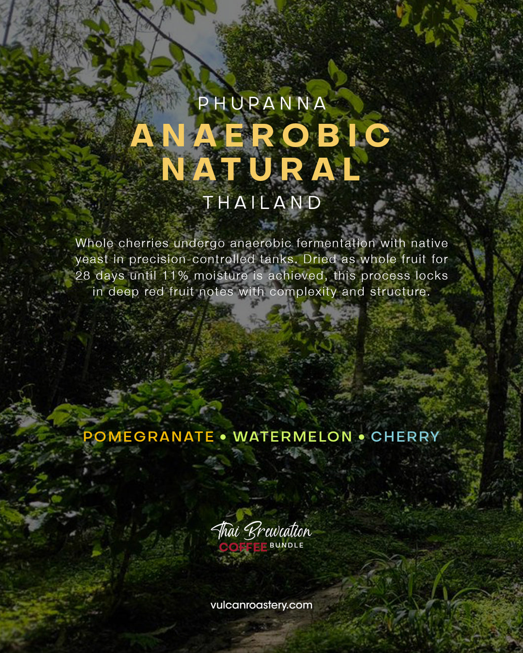 THAILAND - PHUPANNA - ANAEROBIC NATURAL