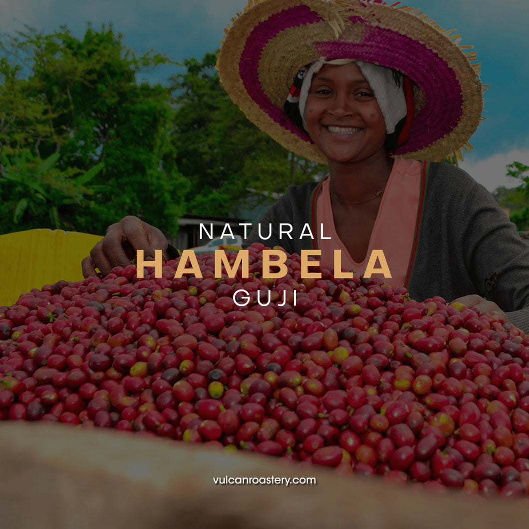 ETHIOPIA - HAMBELA - NATURAL