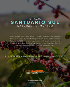 INTERNATIONAL COFFEE DAY BUNDLE