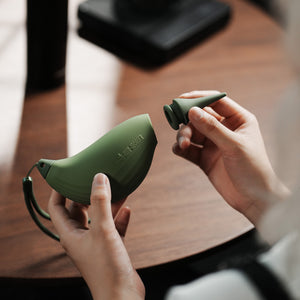 BIRD AIR BLOWER