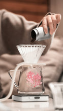 Load image into Gallery viewer, ELF COFFEE SERVER
