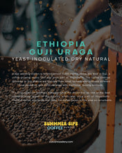 تحميل الصورة في عارض المعرض ،SUMMER SIPS COFFEE BUNDLE
