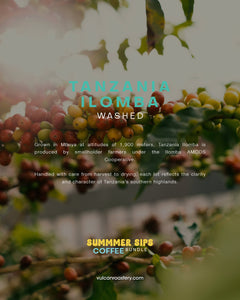SUMMER SIPS COFFEE BUNDLE