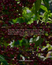 تحميل الصورة في عارض المعرض ،ETHIOPIA - BENCH MAJI - NATURAL
