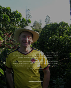 COLOMBIA - FINCA BETANIA - PINK BOURBON COCO NATURAL