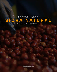 COLOMBIA - FINCA EL DIVISO - SIDRA NATURAL