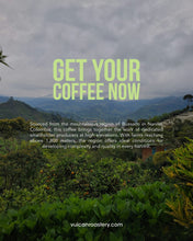 Load image into Gallery viewer, COLOMBIA - BUESACO - NATURAL
