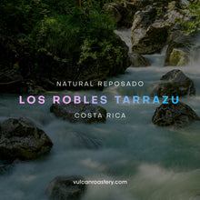 تحميل الصورة في عارض المعرض ،COSTA RICA - LOS ROBLES - NATURAL REPOSADO
