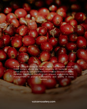 تحميل الصورة في عارض المعرض ،DECAF - FINCA LOS NOGALES - COLOMBIA
